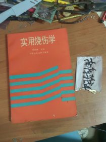 实用烧伤学