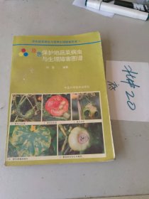 原色保护地蔬菜病虫与生理障害图谱