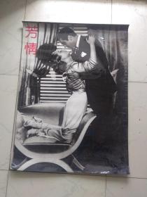 1994挂历  芳情  13张  薄膜