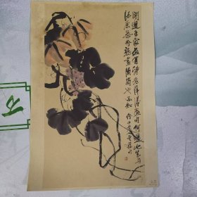 图片——葡萄 （齐白石---作品）（印刷品）