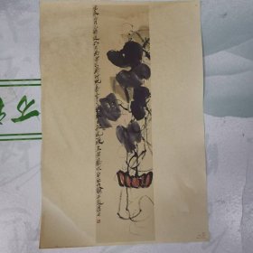 图片——南瓜（齐白石---作品）（印刷品）