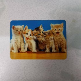 年历卡——1983年5只猫图（华润纺织品有限公司）