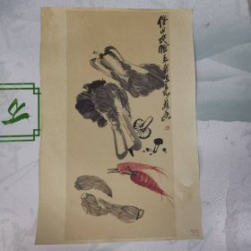 图片——笋菌白菜萝卜（齐白石---作品）（印刷品）