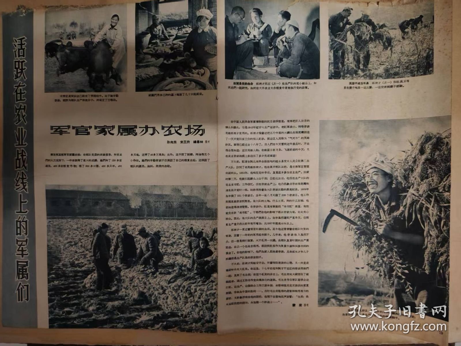 画报插页——让洼塘变富仓（国画------赵华胜、李林群、张秀时 作）