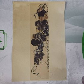 图片——葡萄（齐白石---作品）（印刷品）+