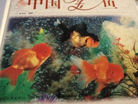 中国金鱼
