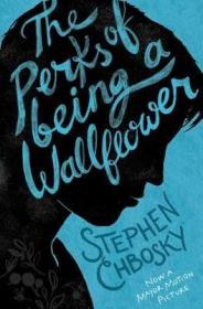 英文原版Perks of Being a Wallflower YA edition壁花少年