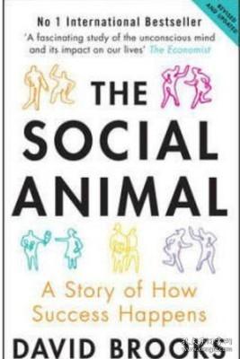 英文原版Social Animal- A Story of How Success Happens 社会动物/ David Brooks