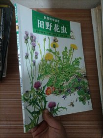 自然科学绘本  田野花虫