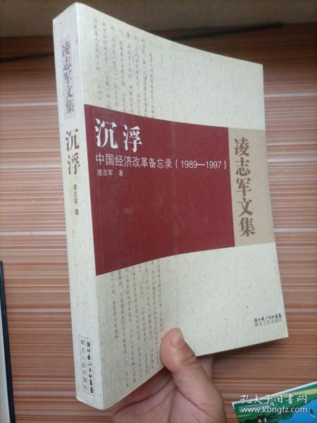 沉浮：中国经济改革备忘录1989-1997