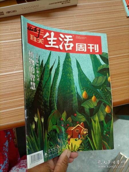 三联生活周刊 2019年第17期