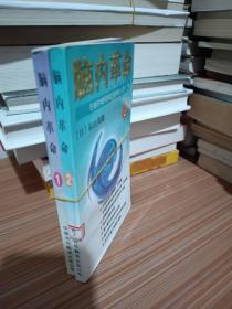 脑内革命 第一卷:重新认识、开发、利用你的大脑：重新认识、开发、利用你的大脑--第一卷的新描述