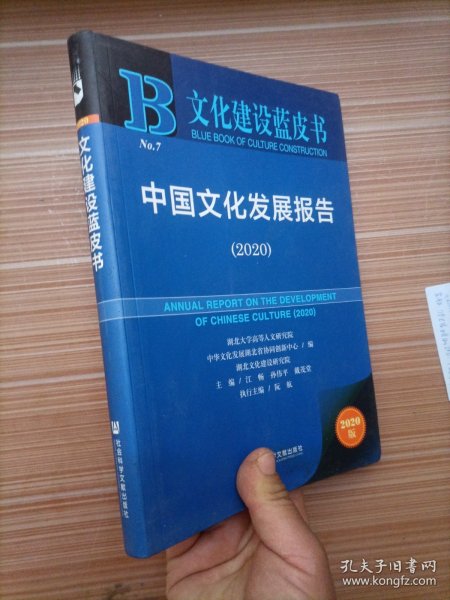 文化建设蓝皮书：中国文化发展报告（2020）