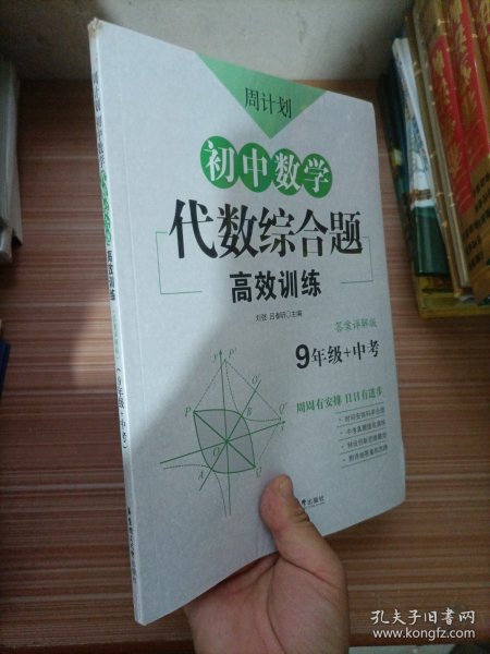 周计划：初中数学代数综合题高效训练（9年级+中考）