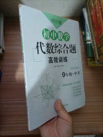 周计划：初中数学代数综合题高效训练（9年级+中考）