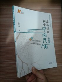 爱与恨的初中平面几何  九年级