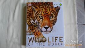 Wildlife Of The World 世界野生动物