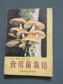 食用菌栽培