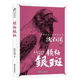 动物小说大师沈石溪珍藏系列：领袖银斑