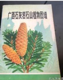 广西石灰岩石山植物图谱