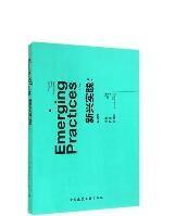 新兴实践：设计的专业、价值和途径