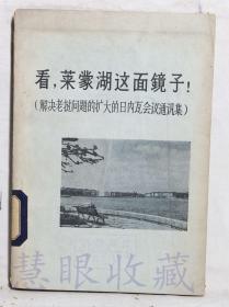 《看，莱蒙湖这面镜子-解决老挝问题的扩大的日贝瓦会议通讯集》一本=世界知识出版社