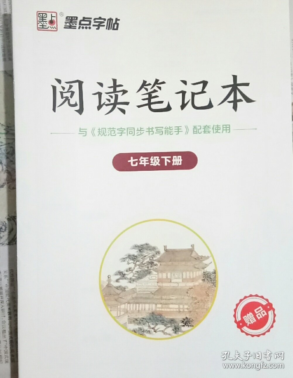 墨点字帖：2025春规范字同步书写能手/初一七年级下册 人教版 送阅读笔记本