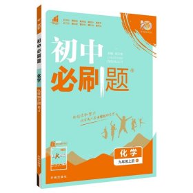 理想树2024版初中必刷题化学九年级下册RJ人教版配狂K重点