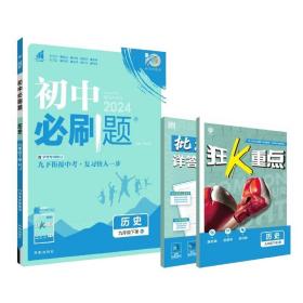 理想树2024版 初中必刷题 历史九年级下册人教版 配同步讲解狂K重点