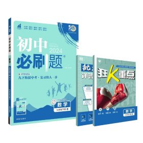 理想树2024版初中必刷题数学九年级下册RJ人教版配狂K重点