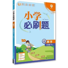 小学必刷题 数学六年级下 RJ人教版（配秒刷难点、阶段测评卷）理想树2024版