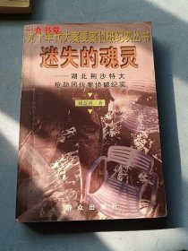 迷失的魂灵--湖北荆沙特大抢劫团伙案侦破纪实（九十年代大案要案侦破纪实丛书）（1998年初版，个人藏书）