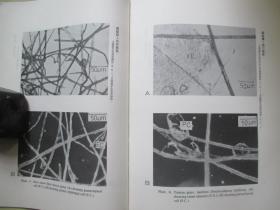 1981年故宫博物院16开：故宫季刊          第十五卷第四期  【七十年代出土竹简帛书对古籍的影响（下）、明代漆雕锦地研究（下）、英国现藏清代史料简介（下）等】