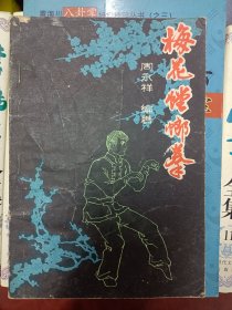 梅花螳螂拳  满百包邮