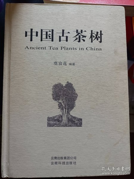 中国古茶树