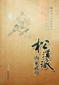 武当内家秘笈系列:松溪派内家武功