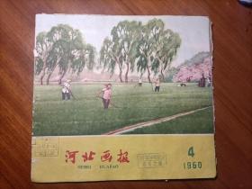 河北画报  1960年第4期