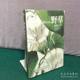 野草：野性之美