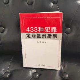 433种犯罪定罪量刑指南 牛丽