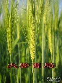 不平常的代数