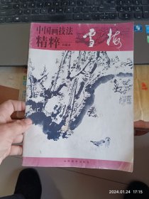 中国画技法精粹.雪梅