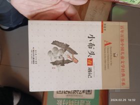 小布头奇遇记