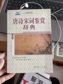 古今诗文精品丛书：唐诗宋词鉴赏辞典