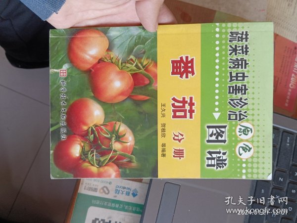 番茄分册/蔬菜病虫害诊治原色图谱