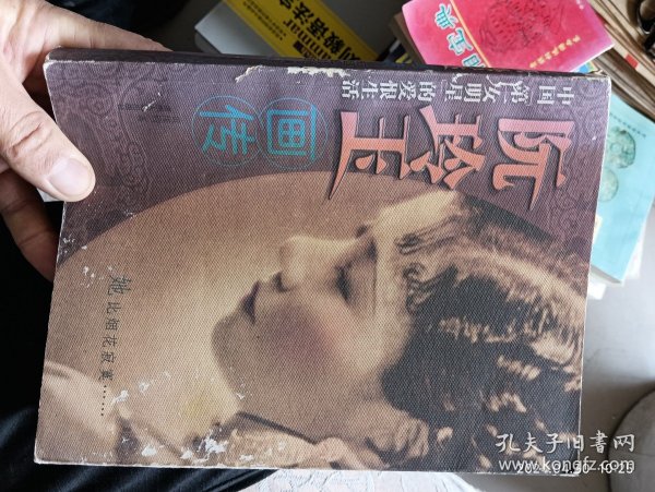 阮玲玉画传・中国第一女名星的爱恨生活 