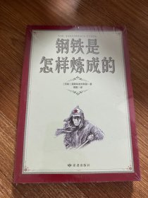 钢铁是怎样炼成的