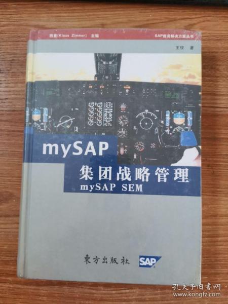 mySAP集团战略管理