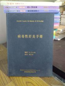 病毒性肝炎手册 精装