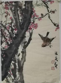 汪亮 花鸟 软片