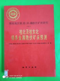 桂北及桂东北锡多金属隐伏矿床预测   只印400册